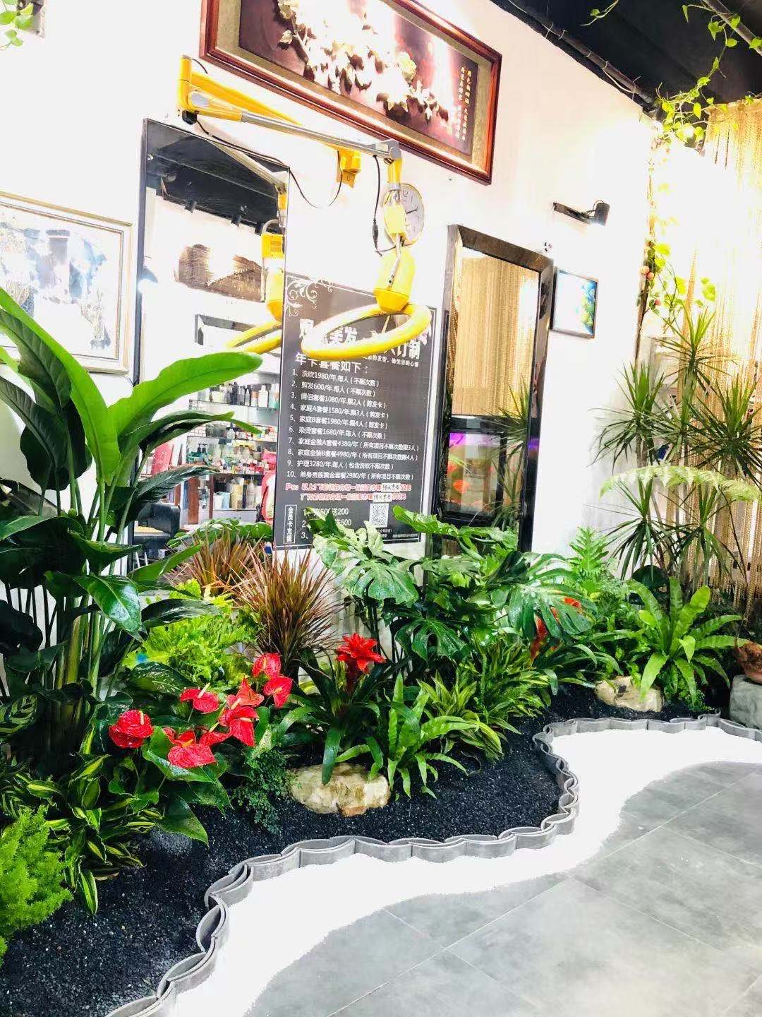 綠植花卉租擺 室內微景觀設計報價