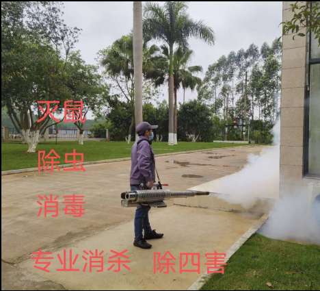 钦州市上门灭蟑螂 上门服务 消灭蟑螂