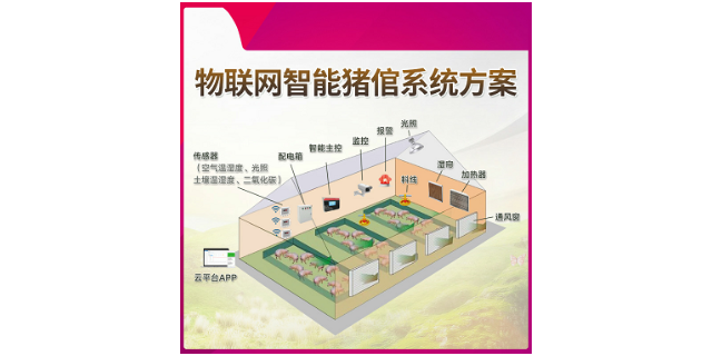 智慧养殖系统解决方案服务商 欢迎来电 青岛亿众物联供应