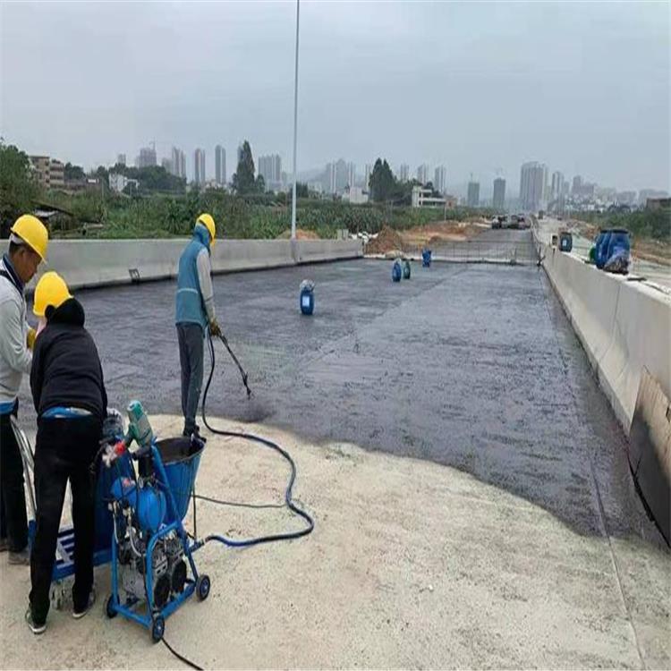 中山黑豹防水涂料厂家