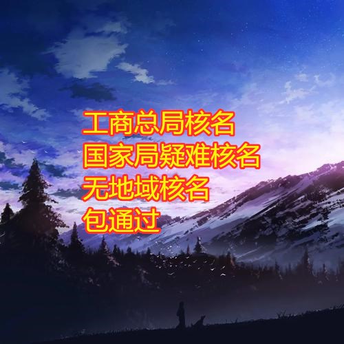 辦理國家局核名疑難 加急點過