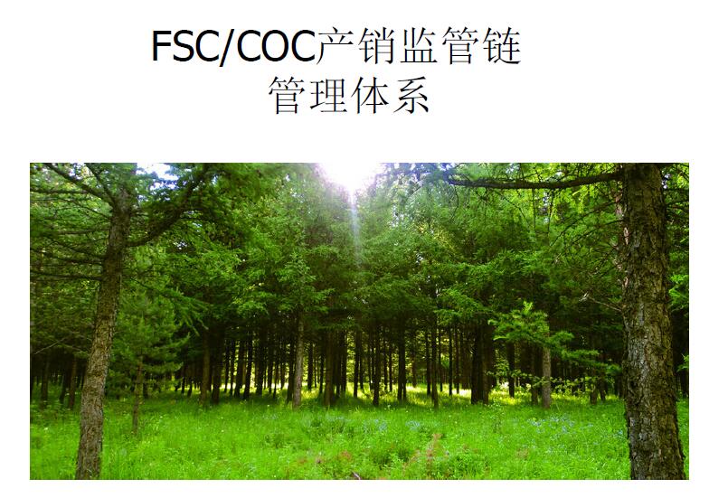 福建FSC认证