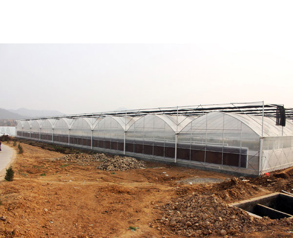 薄膜溫室建造-合肥建野售后**-合肥薄膜溫室