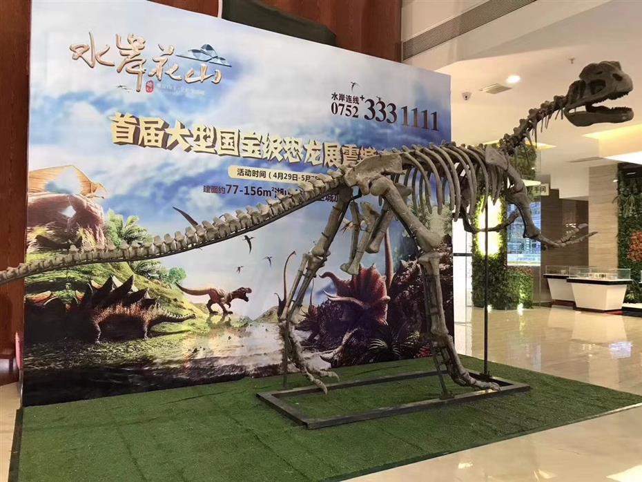 衡陽仿真恐龍出租公司