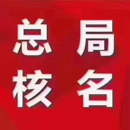 带中国的公司名称 宁波公司注册网上核名