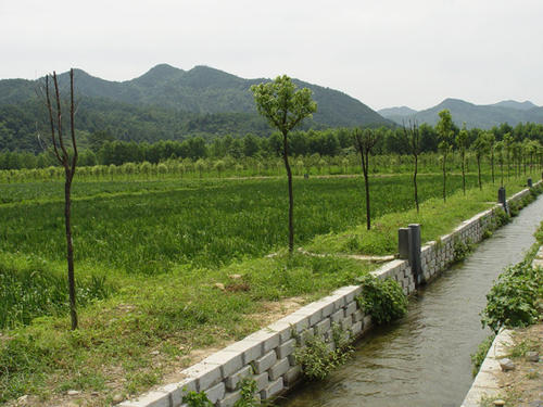 湛江市生产建设项目水土保持