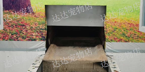 蘭州火化寵物紀念品 歡迎咨詢 達達家園寵物店供應(yīng)