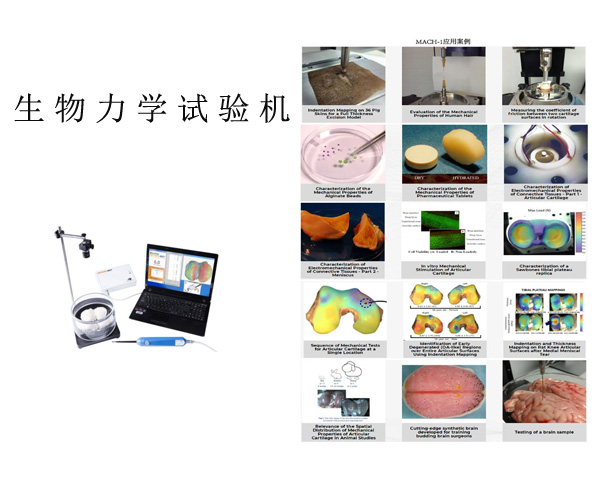 生物材料动态力学试验机-北京世联博研