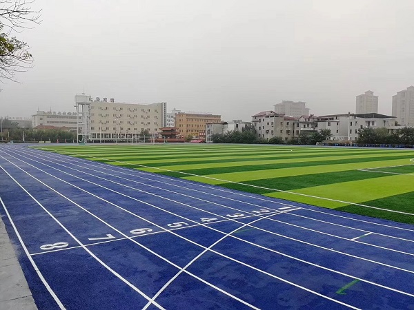 塑胶跑道运动场地面-江西特冠体育-吉安青原区塑胶跑道