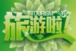 干净的国际旅行社转让要求