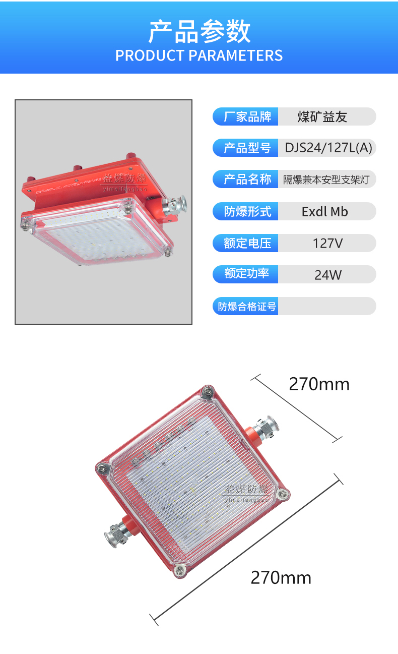 合肥DJC24/127L本安型LED支架灯