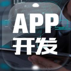 广州电商app系统开发定制