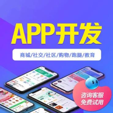 广州app系统开发定制