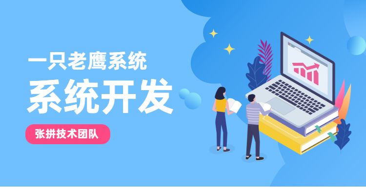 一只老鹰程序开发