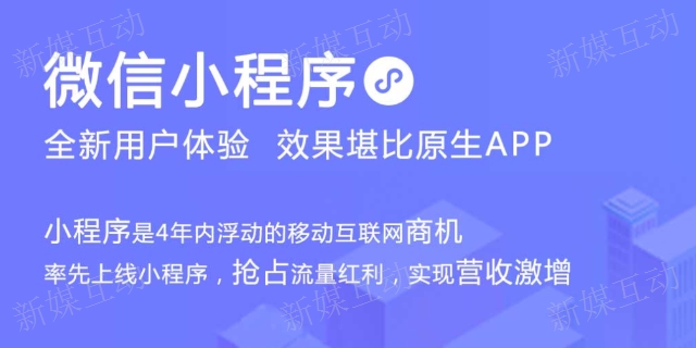 东丽区微信小程序开发平台,小程序开发