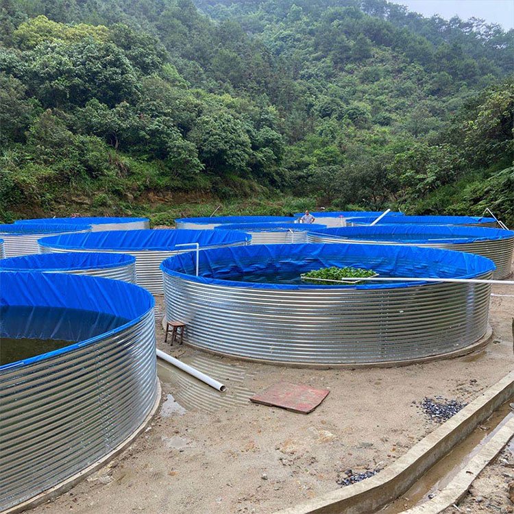 鱼池水过滤器