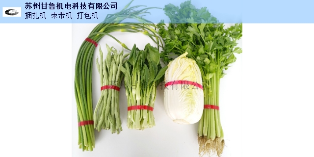 平顶山电动蔬菜捆扎机,蔬菜捆扎机