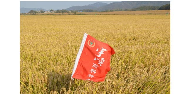 甘肃宇顺虾稻米什么包装 欢迎咨询 宇顺高科种业供应