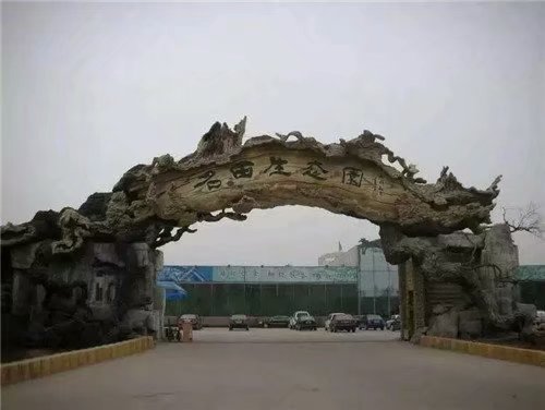 資陽假樹制作 可來圖定做