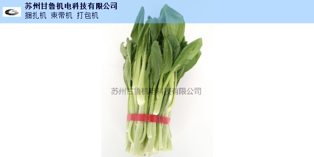 山东蔬菜捆扎机哪家好 苏州甘鲁机电供应