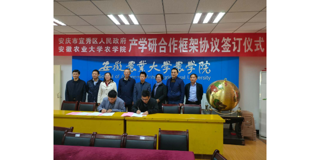 山西好吃的紅米什么包裝 值得信賴 宇順高科種業供應