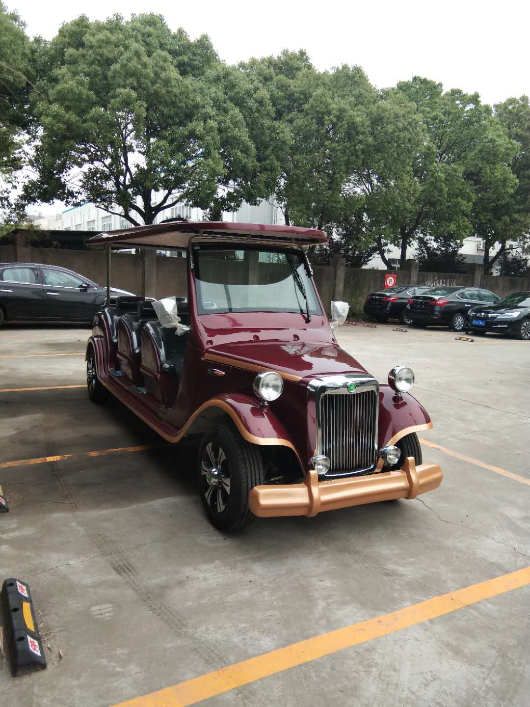 客户看房车 利凯士得新能源 重庆电动看房车