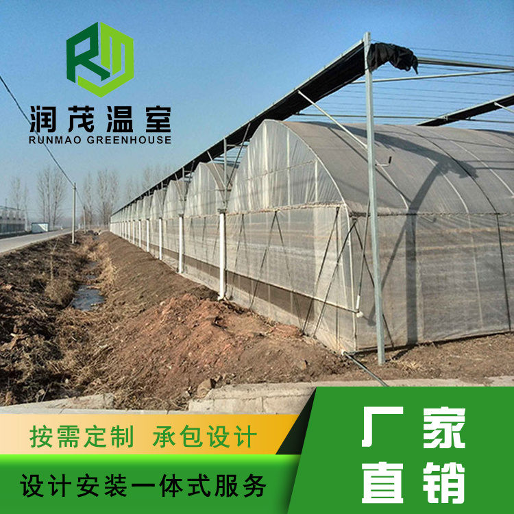 水果温室工程-润茂-水果温室工程方案