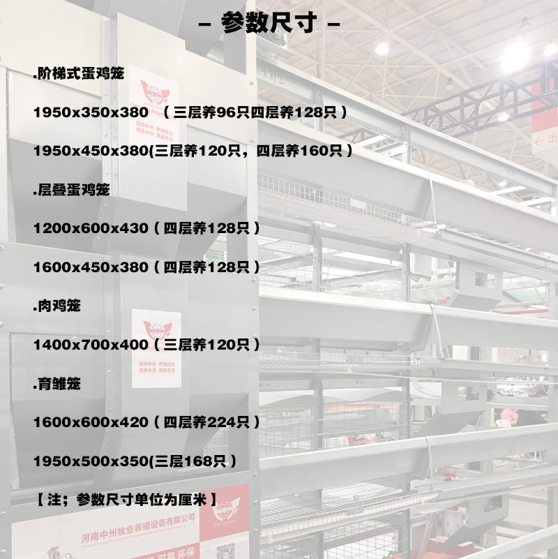 蛋鸡养殖自动喂料设备