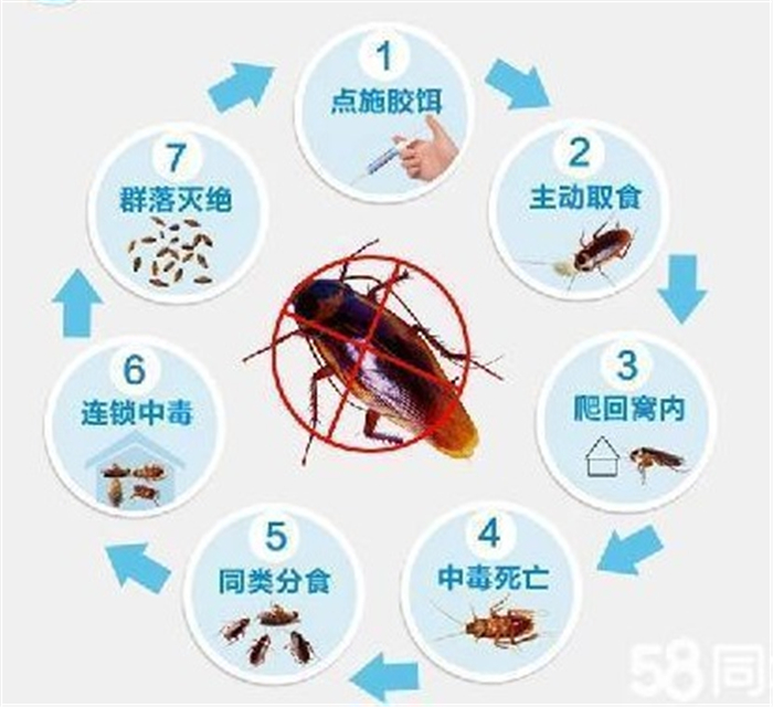 邢臺市房間空間消毒 空間消毒 費(fèi)用透明