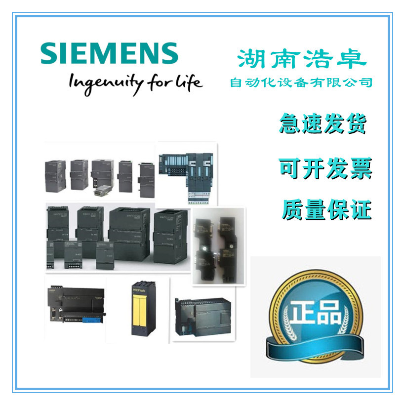 中國西門子ET200ecoPLC模塊供貨商