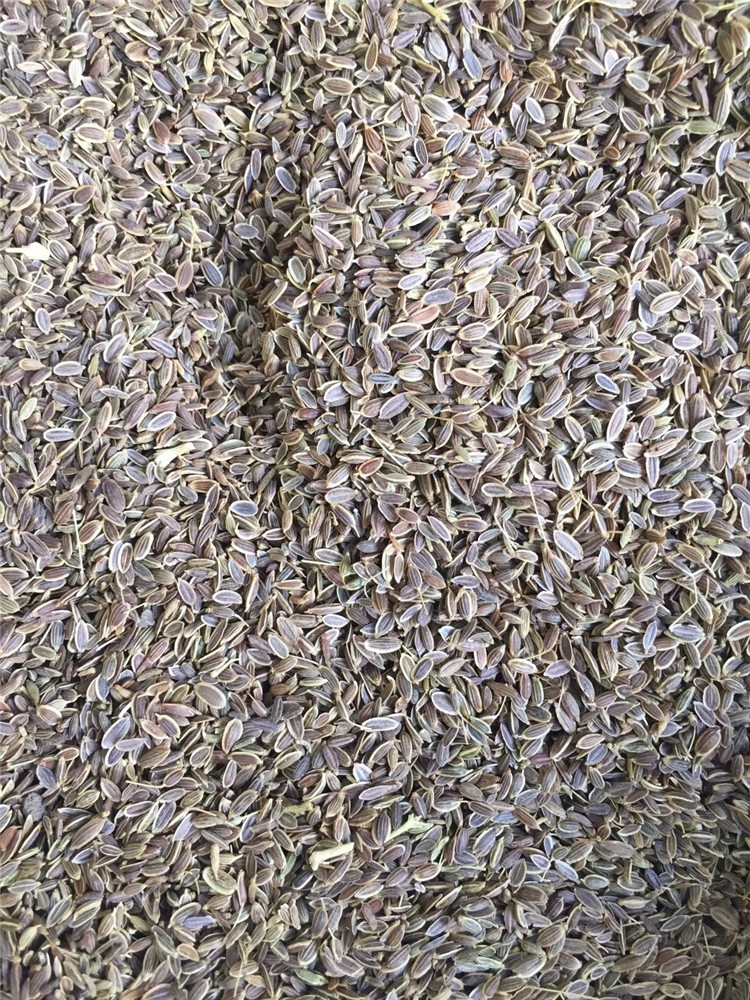 中山八角茴香進口報關有限公司|效率通關