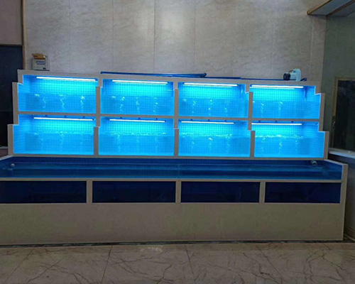 餐廳海鮮魚缸定做-陽泉海鮮魚缸定做-太原龍墅冷庫