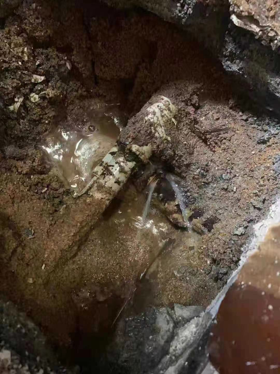 黃埔區地下管道漏水檢測公司 顧客至上