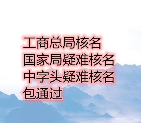 集团公司核名办理流程