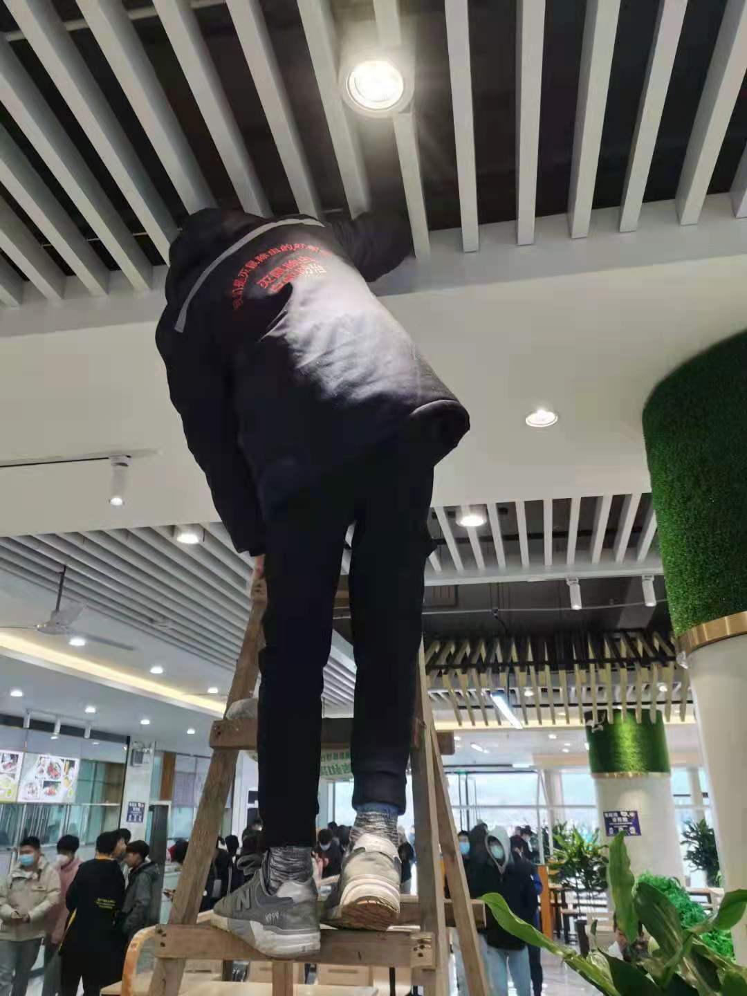簡陽殺臭蟲公司電話