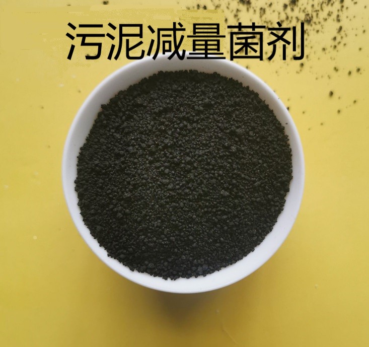 污泥减量菌剂厂家-北京开碧源公司-市政污泥减量菌剂厂家