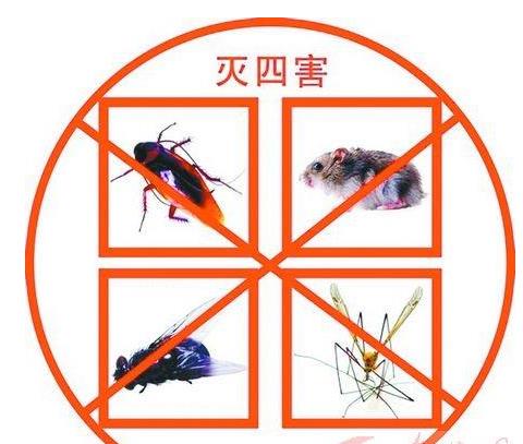 曲阜市藥廠22000 9000 Haccp鼠蟲害風(fēng)險(xiǎn)評(píng)估 價(jià)格合理