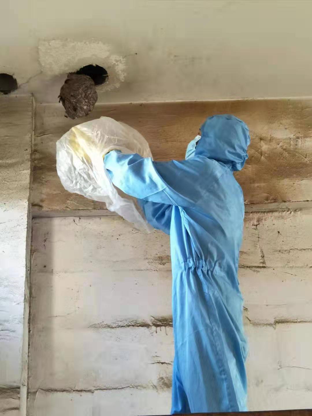 洪雅除馬蜂窩公司A級資質
