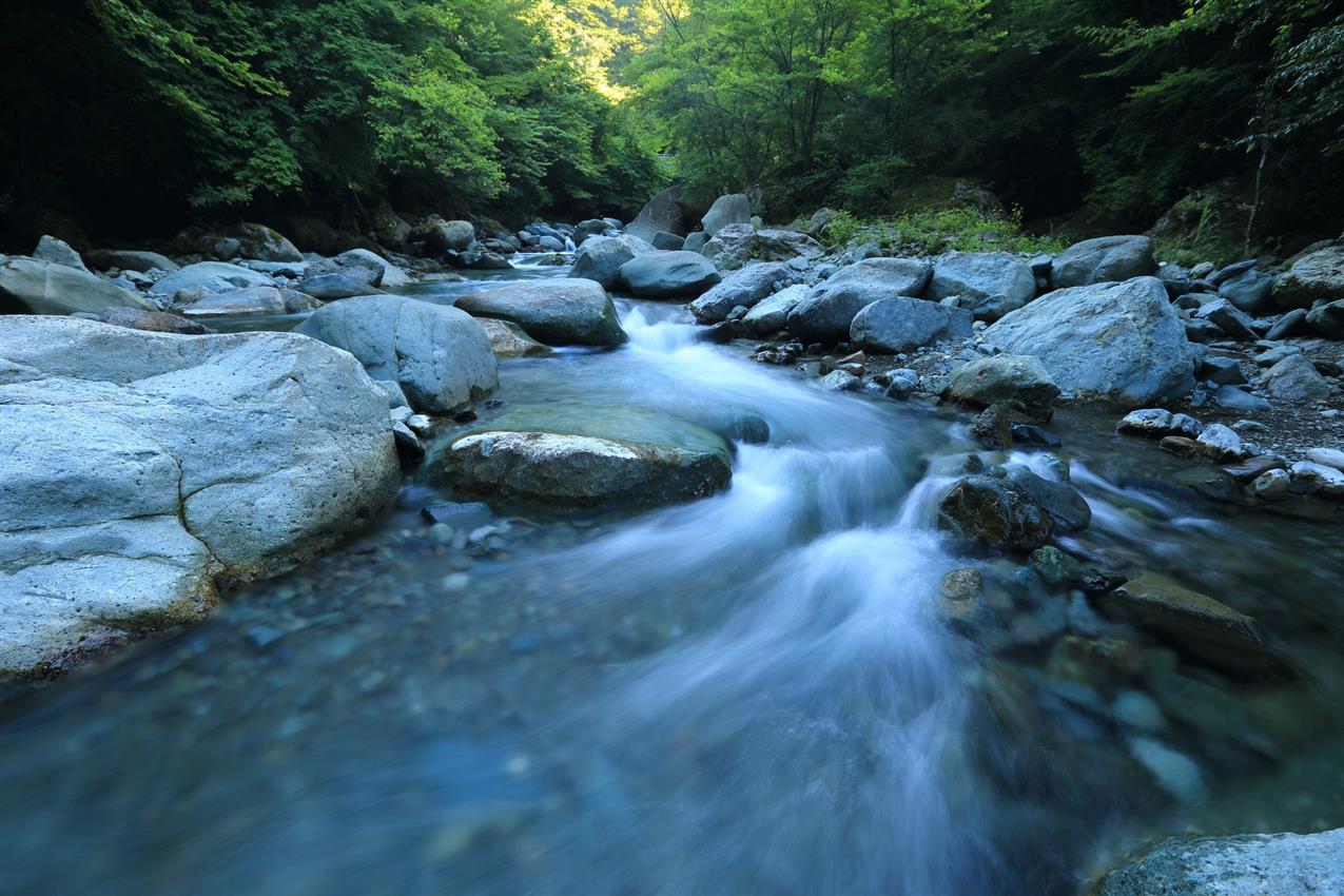 直饮水水质检测报告