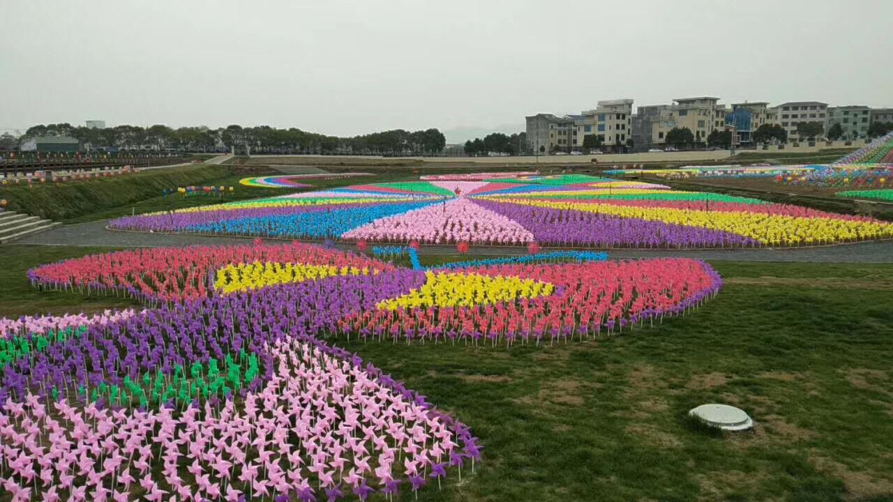 中山风车展