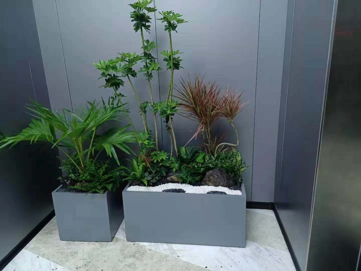 绿色植物租赁价格