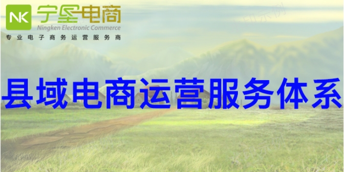甘肅平羅綜合縣域電商哪家公司好 服務為先 寧夏寧墾電子商務供應