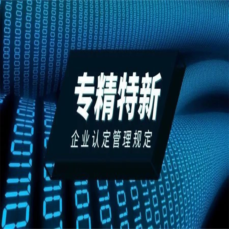 省級專精特新小巨人申報_潛江專精特新申報補助