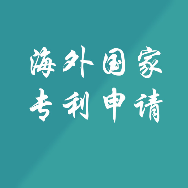 黃岡代理