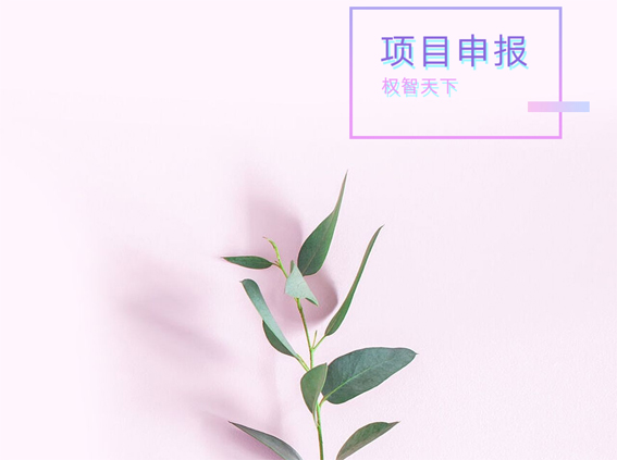 蘇州吳中姑蘇高新入庫金額