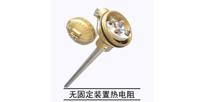 寧夏鈦管防腐熱電阻廠家供應 歡迎來電 江蘇楚天自動化儀表供應