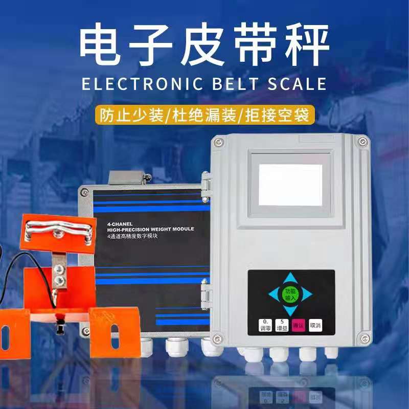 雙鴨山銷售電子皮帶秤 遼陽(yáng)供應(yīng)給料稱 德諾皮帶秤