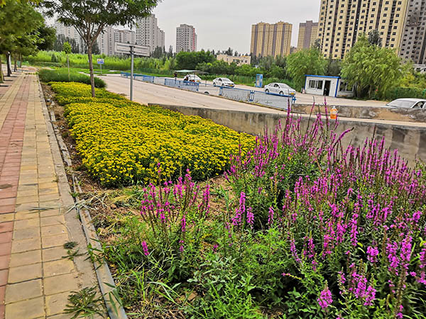 駕駛員培訓基地-西夏區駕駛員培訓-寧通駕校銀川