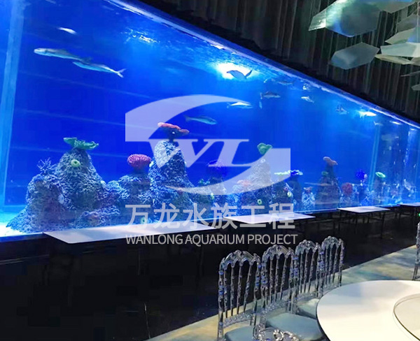 天井魚缸-杭州萬龍魚缸工程-北京魚缸