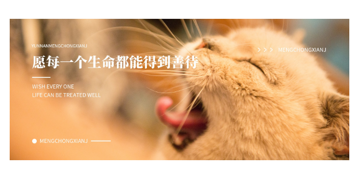 泰州寵物殯葬加盟總部 上海寵淘寵物供應